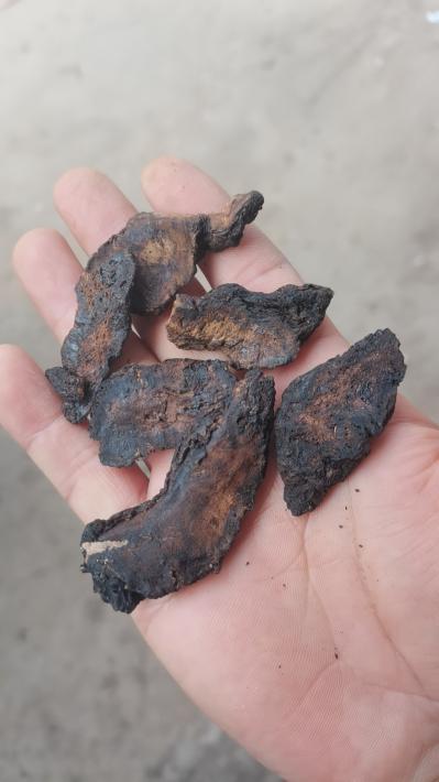 生地黄生地片各种规格大货