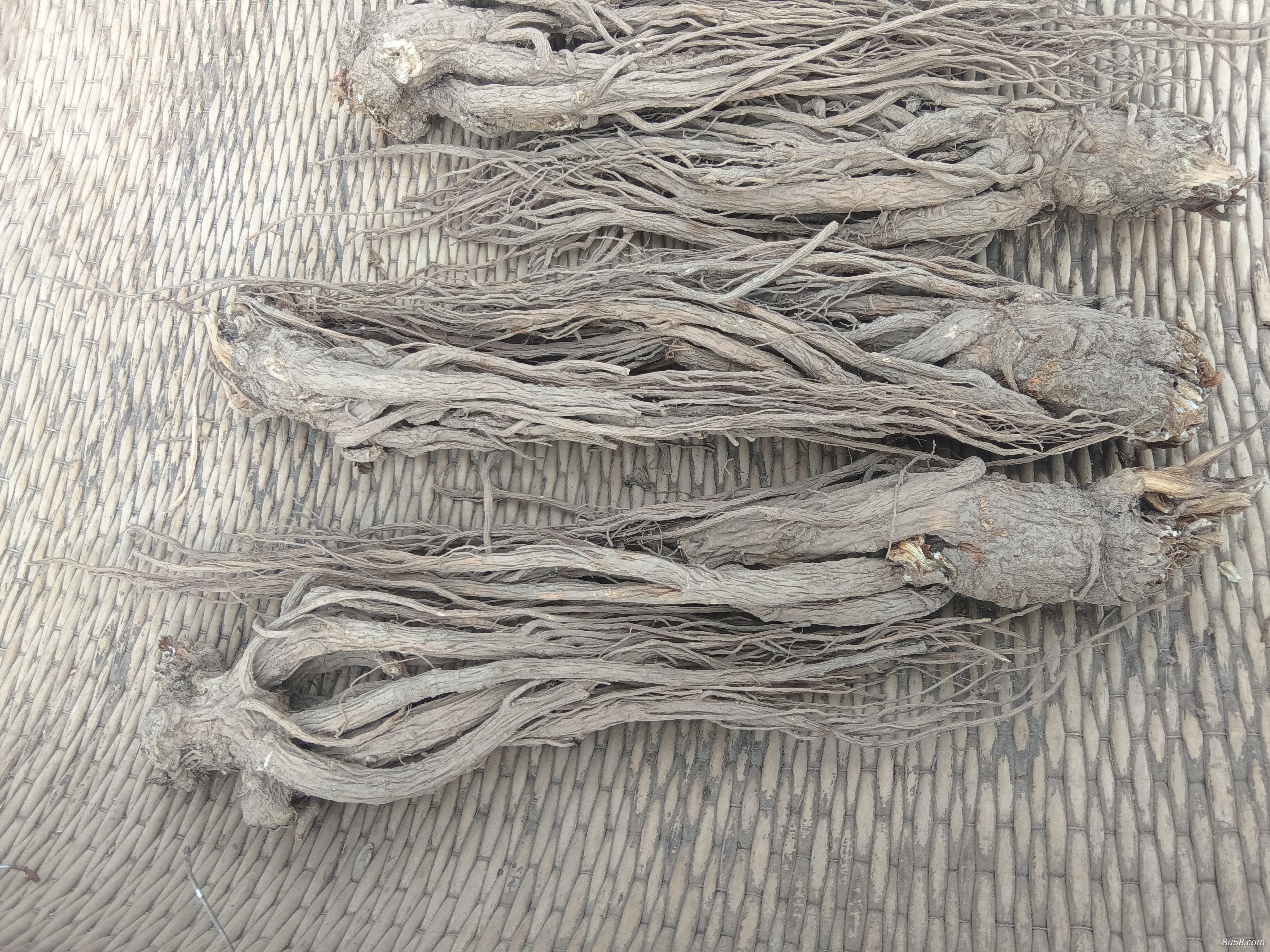出售岷县当归，党参，黄芪，都是今年的新货干度很好