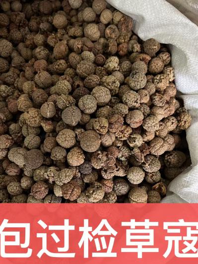 草寇