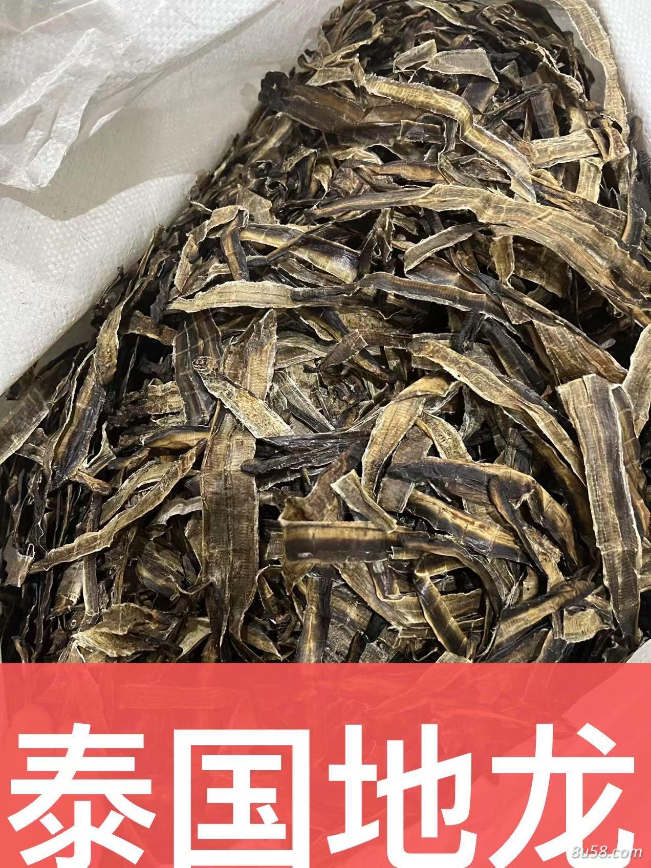 地龙