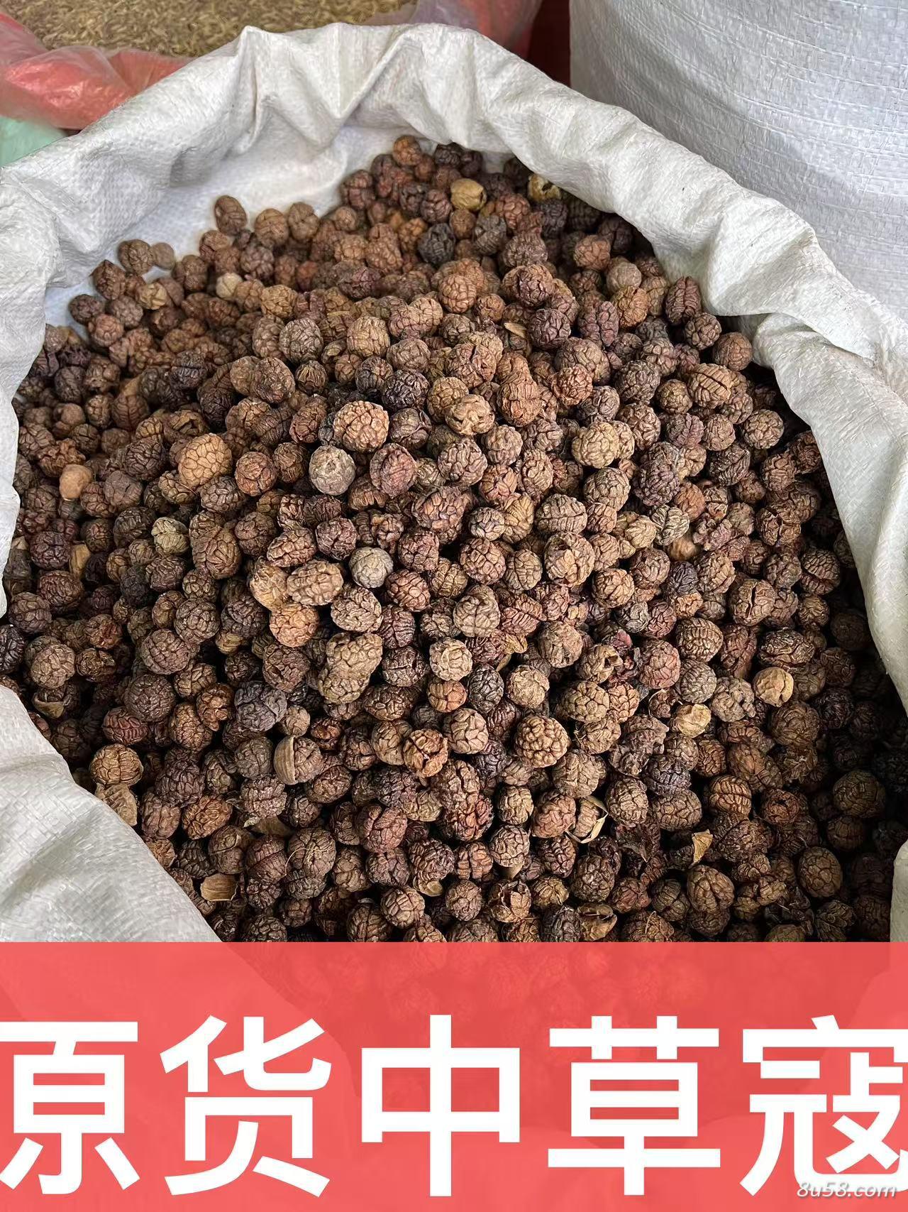 草寇