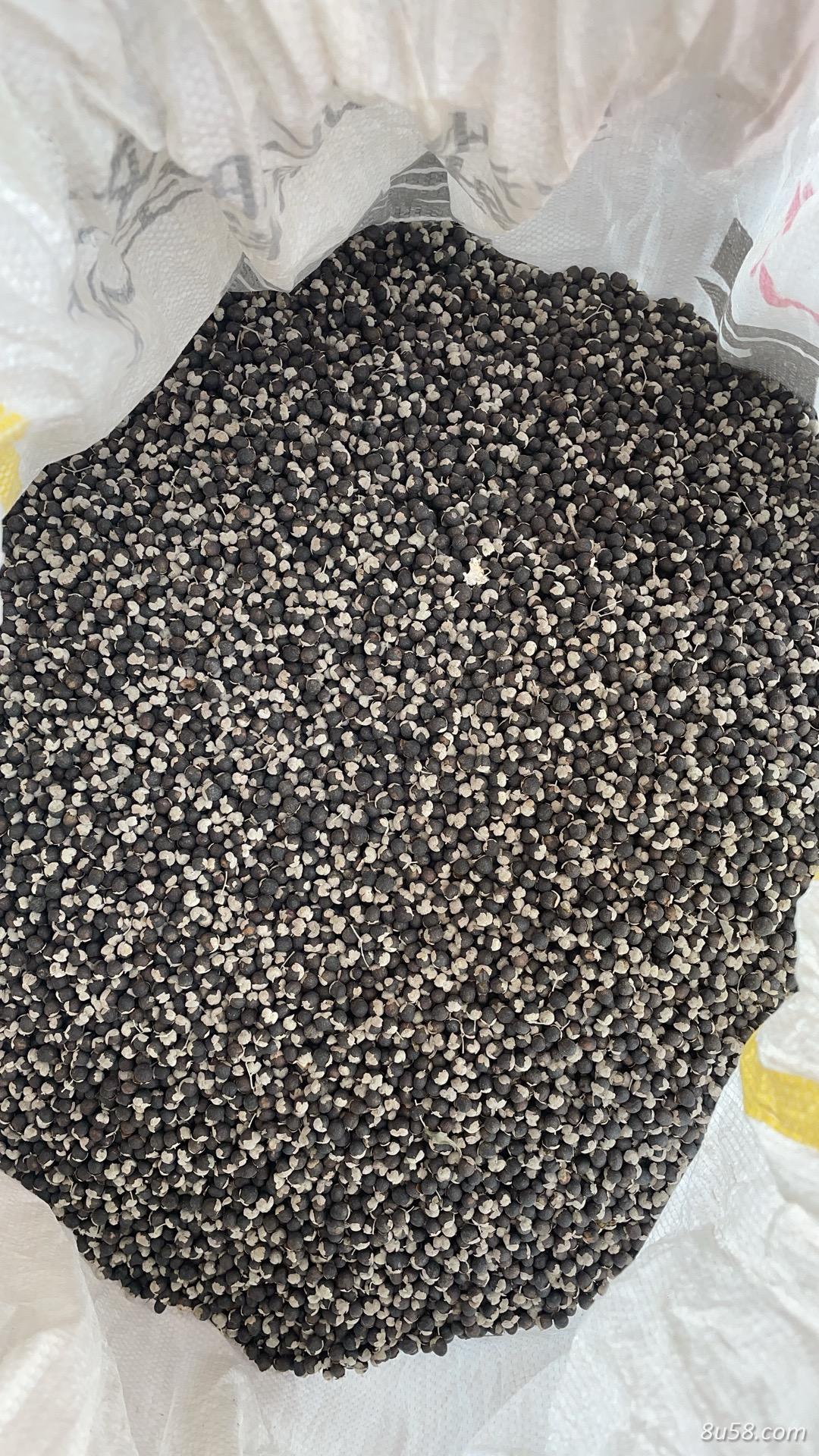 蔓荆子 蔓荆子
