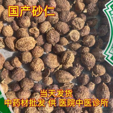 阳春砂