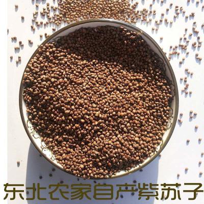 紫苏籽