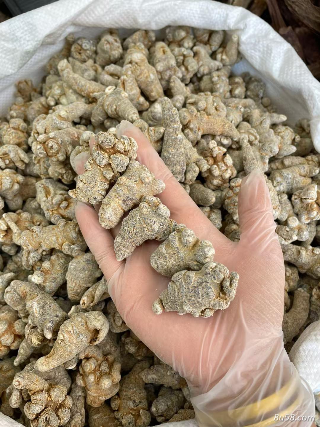出售三七 批发三七 什么样的三七是好的 怎么辨别三七真假
