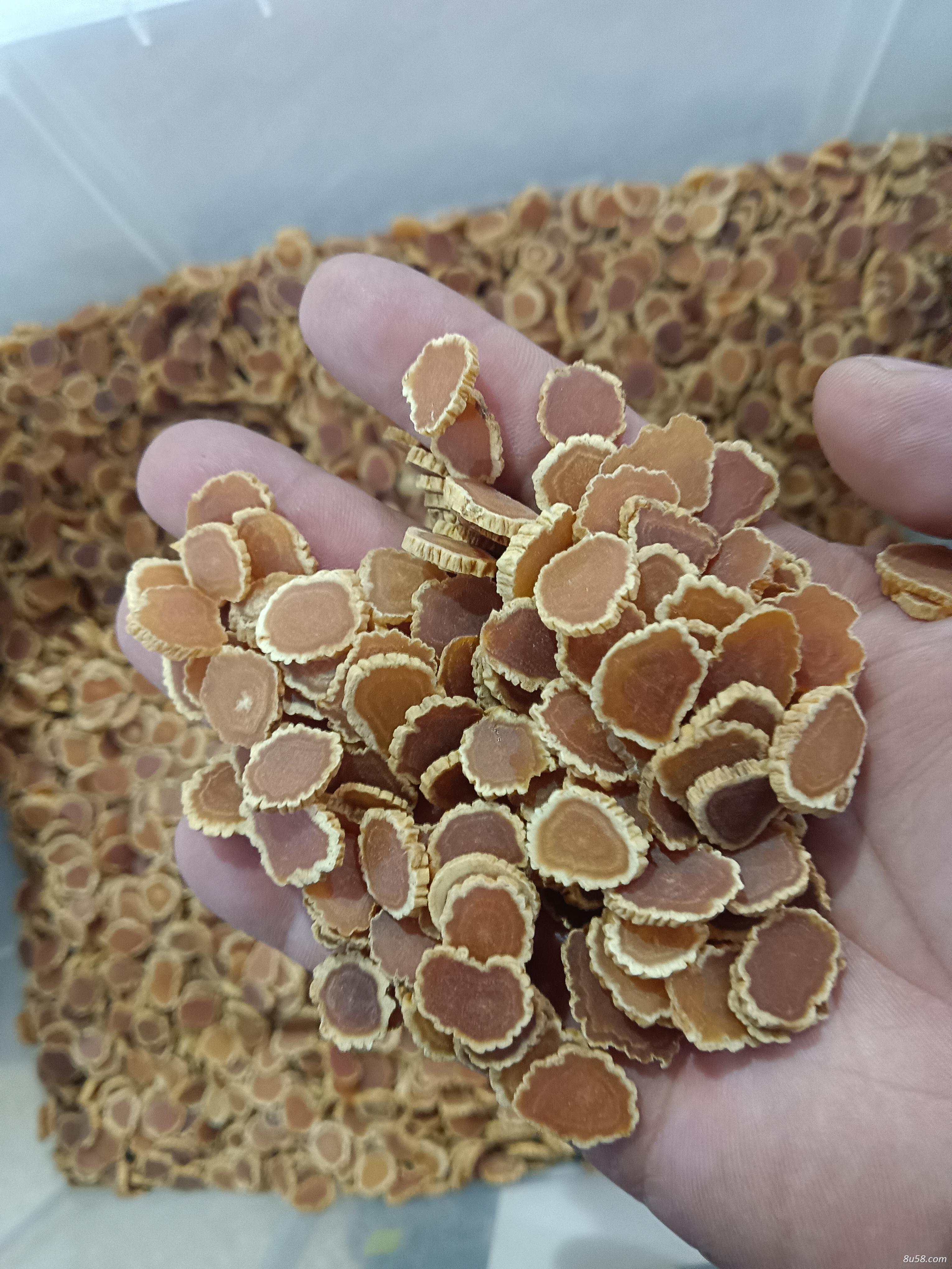 优质红参片