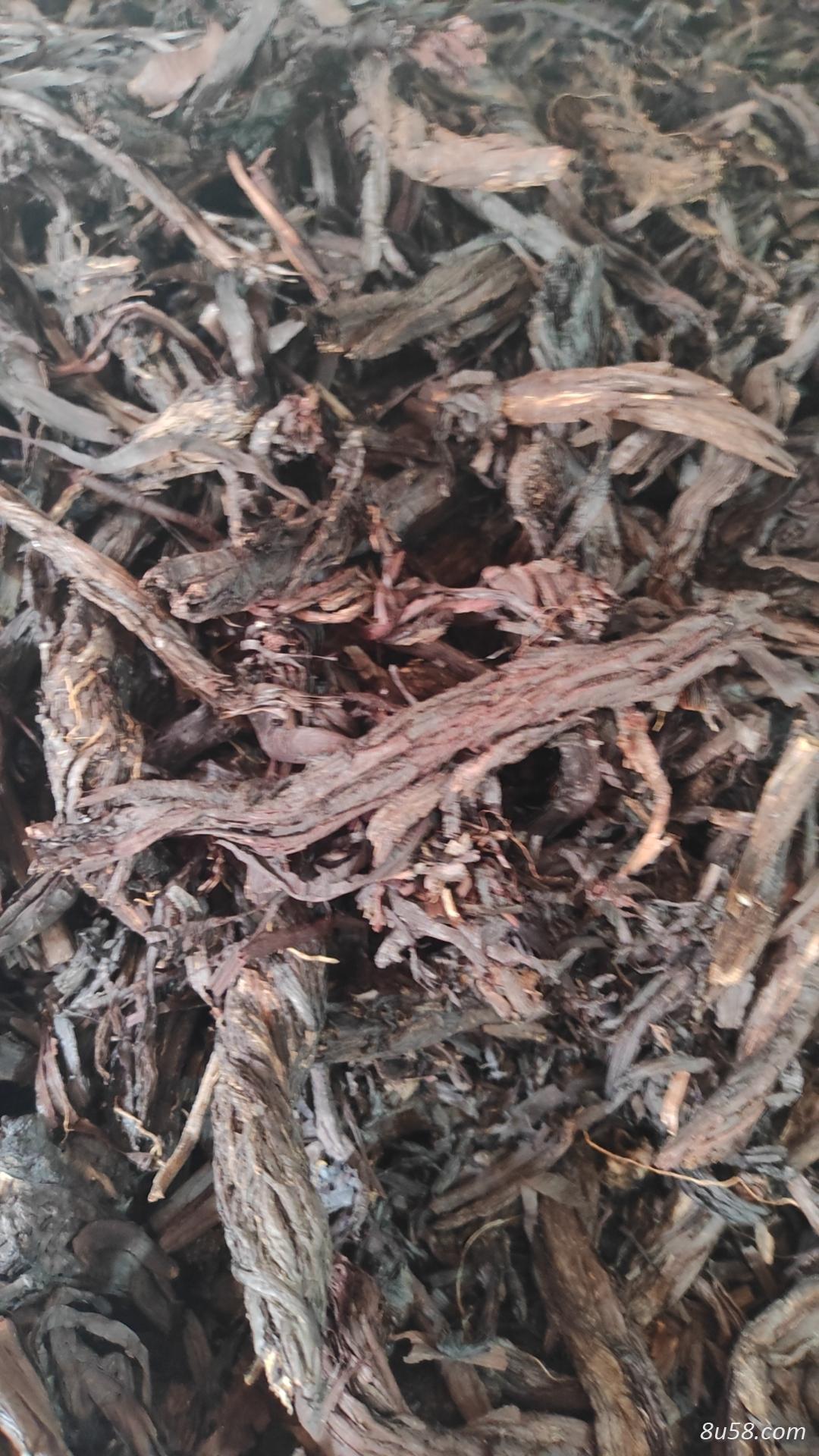 紫草