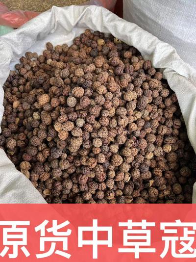 草寇