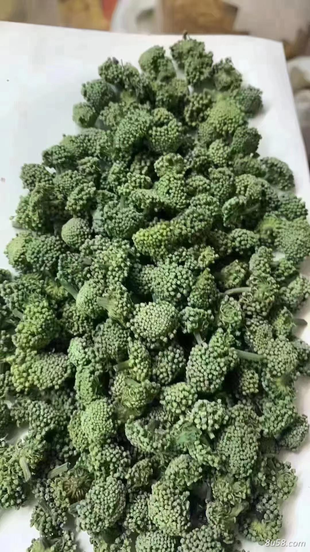 三七花