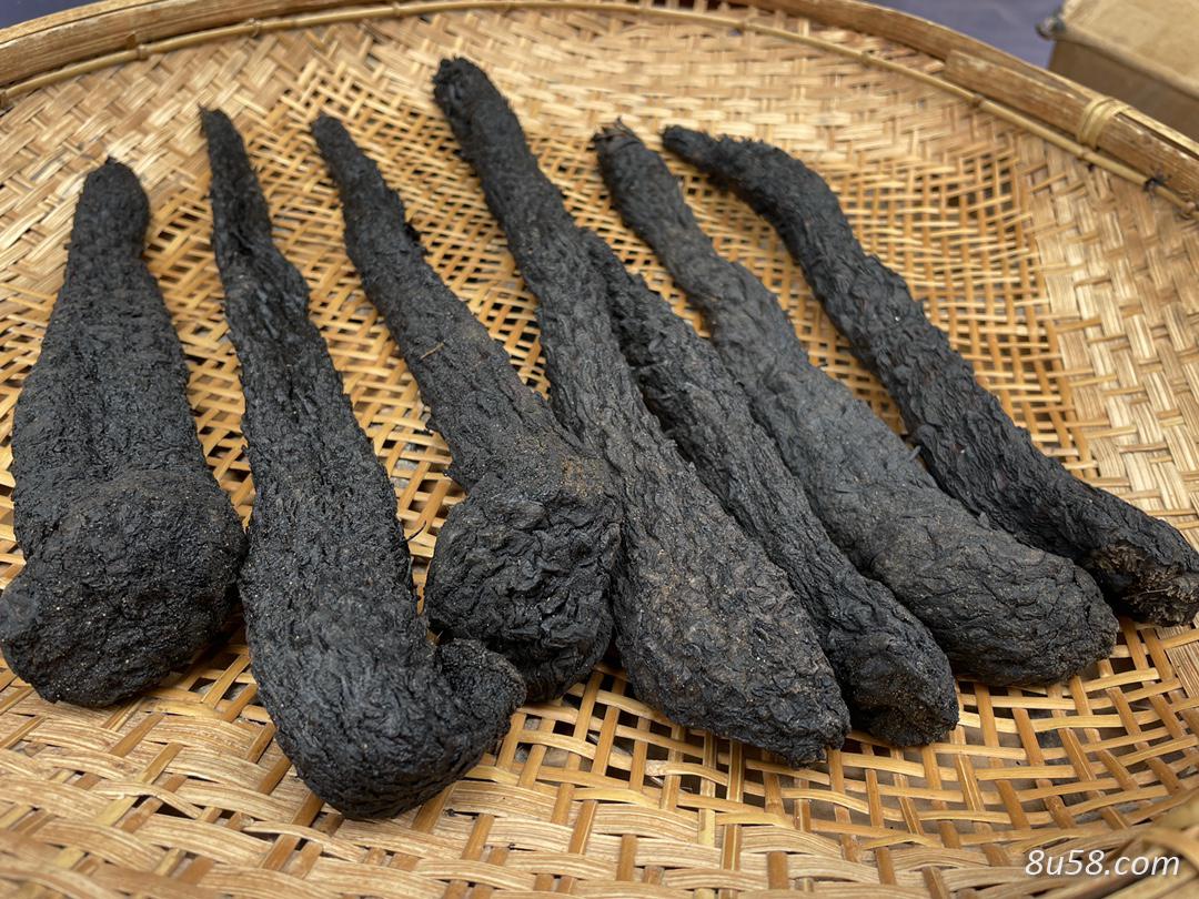 肉苁蓉