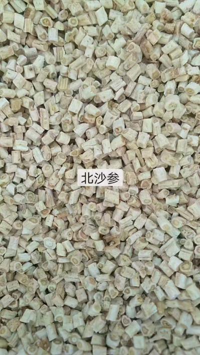 北沙参