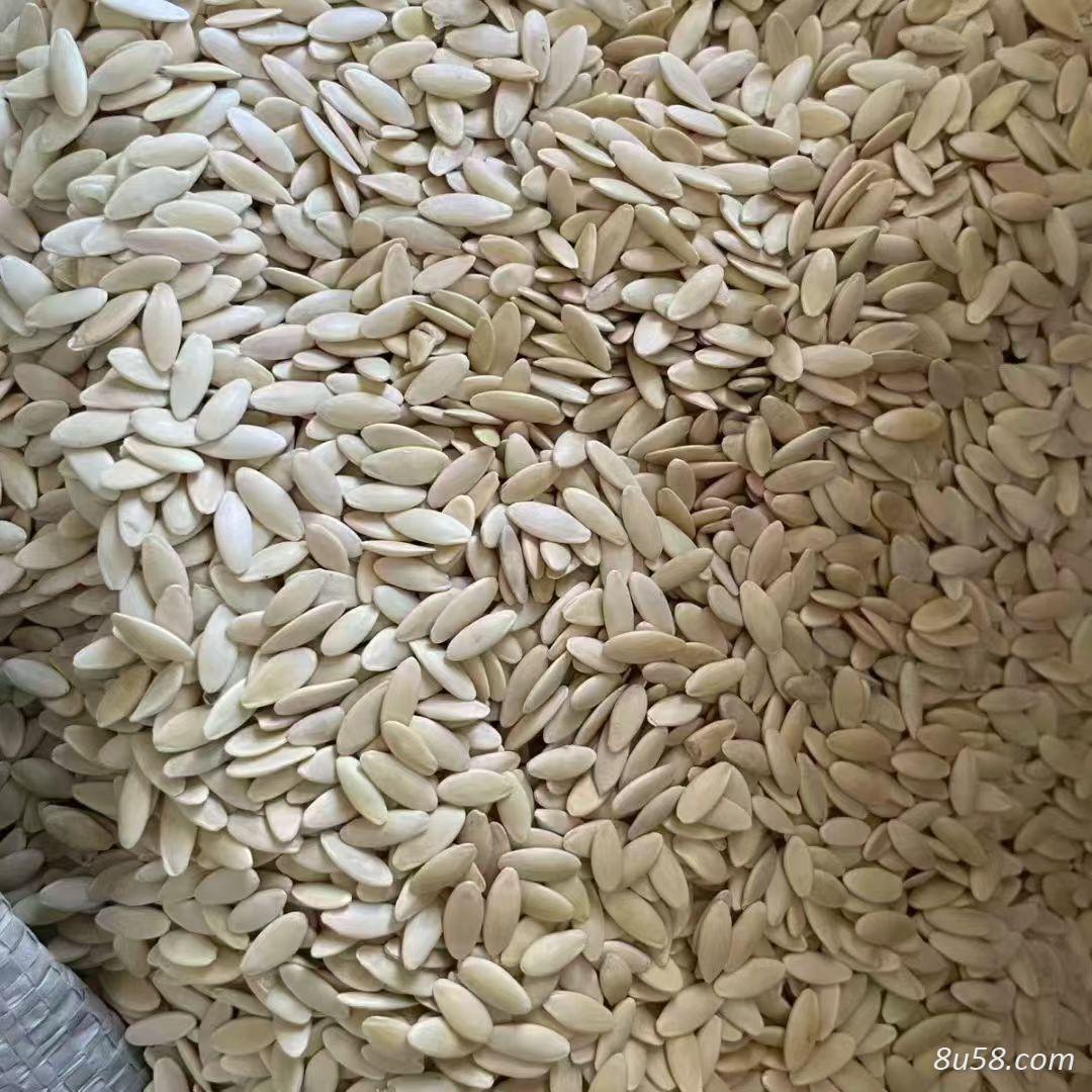 黄瓜籽