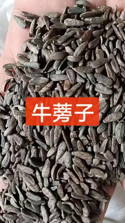 牛蒡子