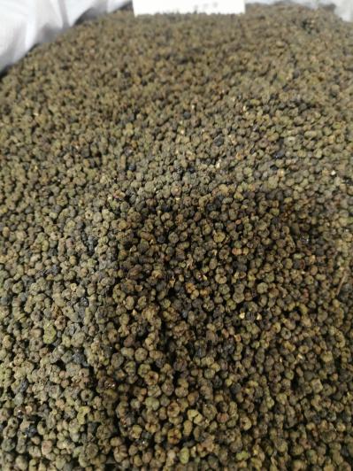 大量出售中药材吴茱萸 吴茱萸产地直销 吴茱萸图片