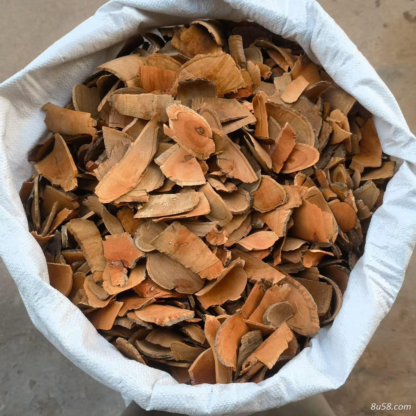 荔枝根片