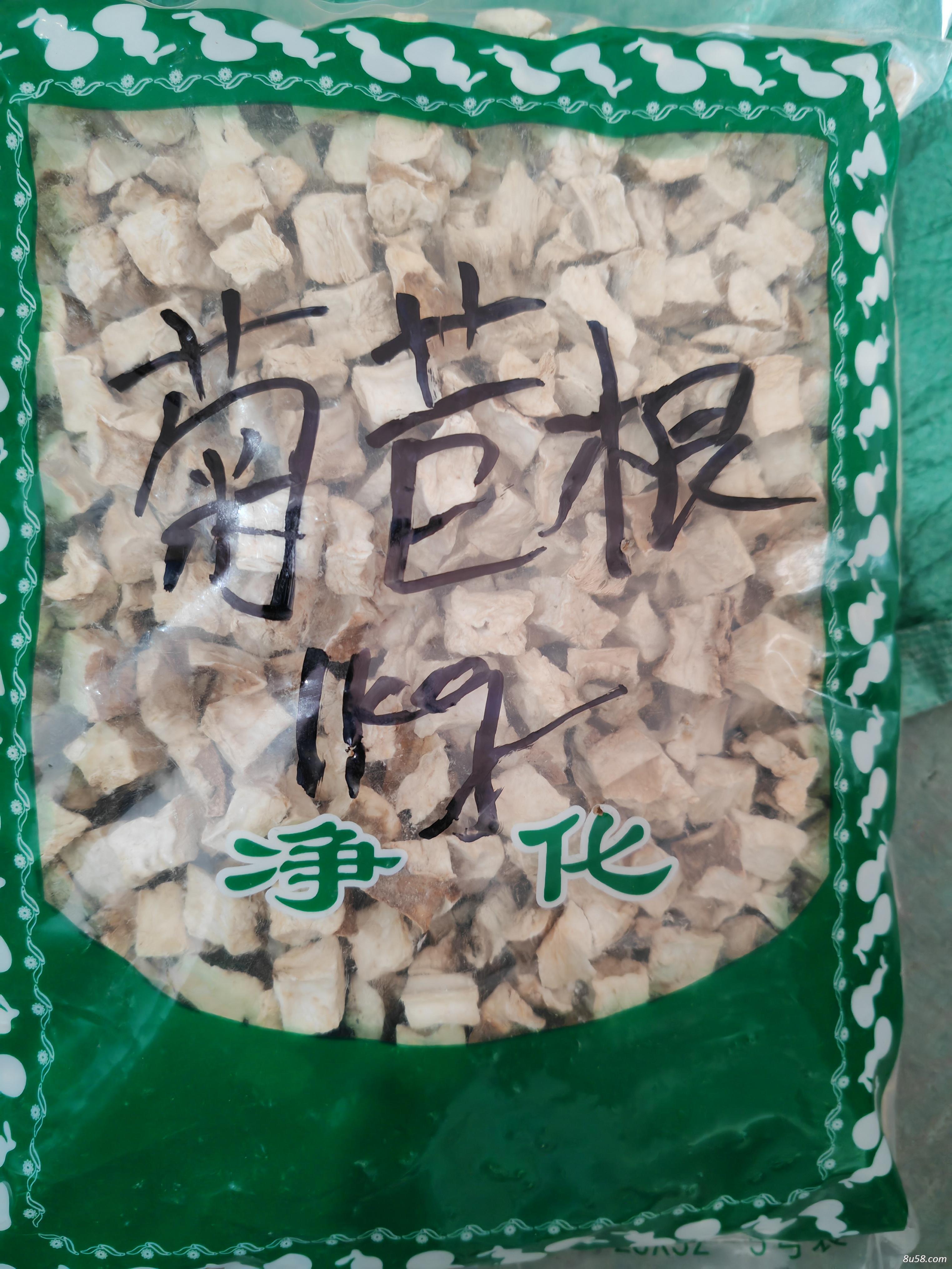 菊苣根