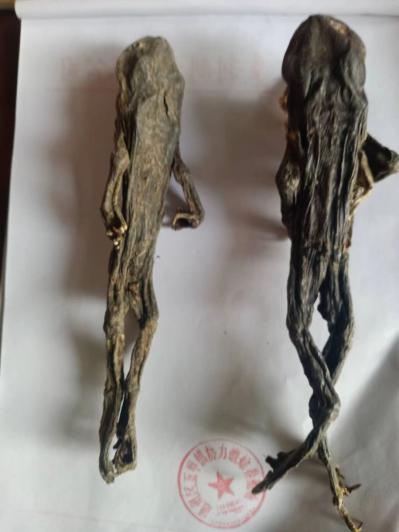 一张蟾衣的价格,一张蟾皮的价钱各自能卖多少钱？孙国华