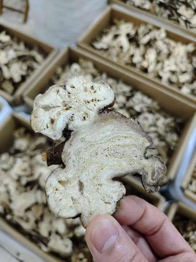 白术产地有哪几个？其中哪个产区的白术最好？白术的功效与作用是什么？
