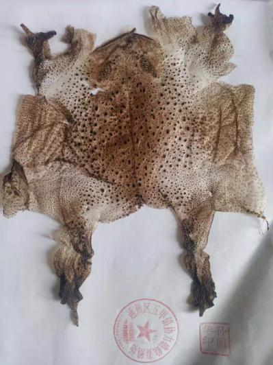 蟾衣,蟾衣粉,蟾蜍粉分别卖多少钱一克？孙国华
