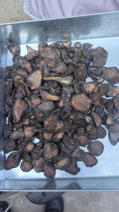 江油附子持续涨价中下单询价 江油附子产地是哪里？附子的功效与作用是什么？