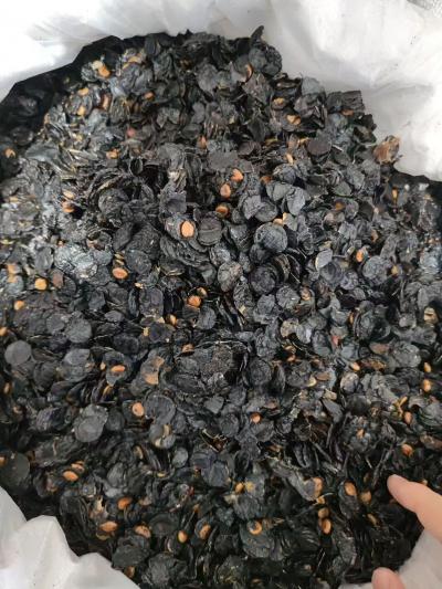 便秘果肉是用来干什么的？便秘果肉是不是药食两用中药材？
