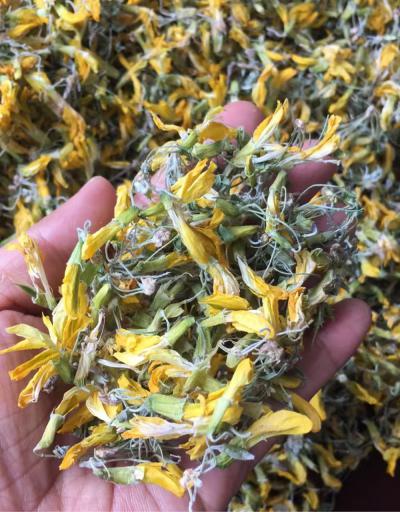 金雀花产地是哪里？金雀花的功效与作用是什么？金雀花是不是药食同源中药材？