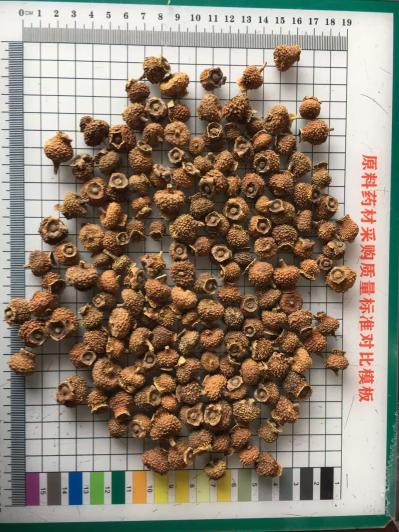 刺梨干果的主要功效与作用是什么？刺梨是用来干嘛的？刺梨是不是药食两用中药材？