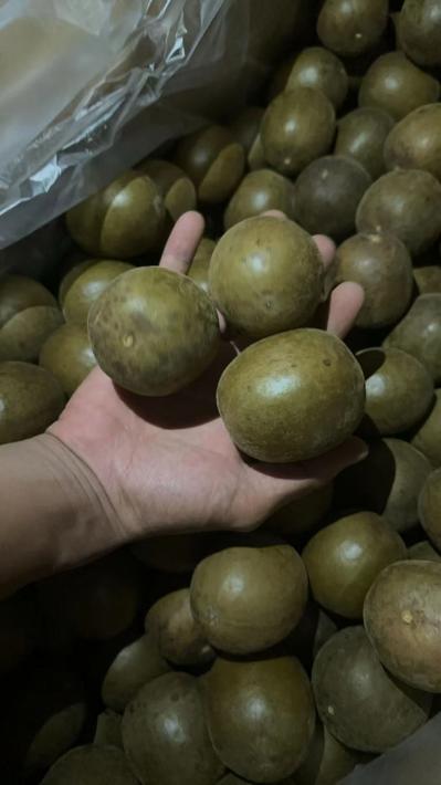 罗汉果泡水喝是不是泡整个的？罗汉果的功效与作用是什么？罗汉果泡水能搭配别的吗？ ‌