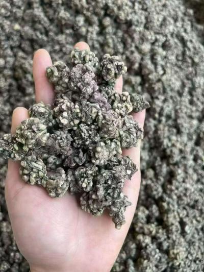 猫爪草产地是哪里？猫爪草一克多少钱？猫爪草批发多少钱