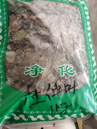 安国杜仲叶哪家的便宜？奇花异草批发商 杜仲叶一斤多少钱？
