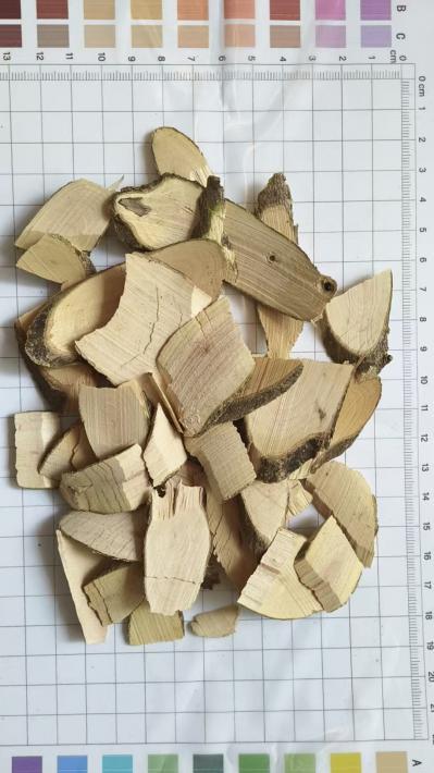 毛冬青一克多少钱？冷背药材毛冬青批发价格是多少？