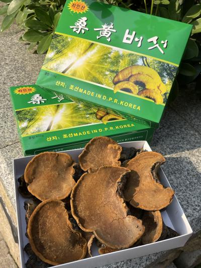 桑黄产地不同价格不一下单询价 桑黄有哪几个产地？桑黄的功效与作用是什么？