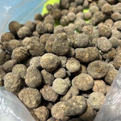 钩树果是药食两用中药材吗？构树果有什么功效？构树果的搭配有哪些？