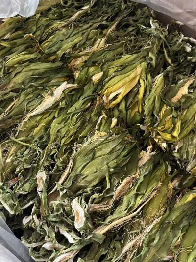 霸王草是什么草？它是中药材吗？它有哪些功能呢？