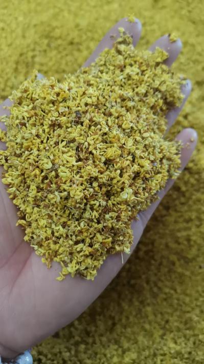 桂花的功效与作用是什么？桂花的搭配有哪些？